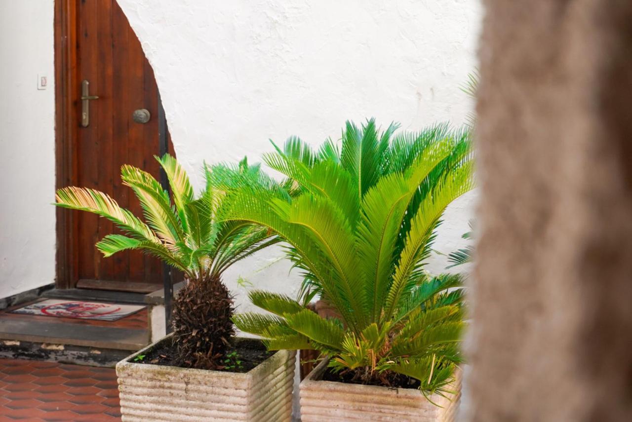 Apartmán Monolocale A 50 Metri Dal Mare Celle Ligure Exteriér fotografie